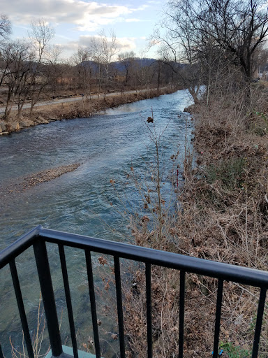 Bicycle Rental Service «Roanoke Mountain Adventures», reviews and photos, 806 Wasena Ave SW, Roanoke, VA 24015, USA