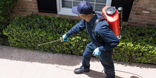Cura Termite and Pest Control image