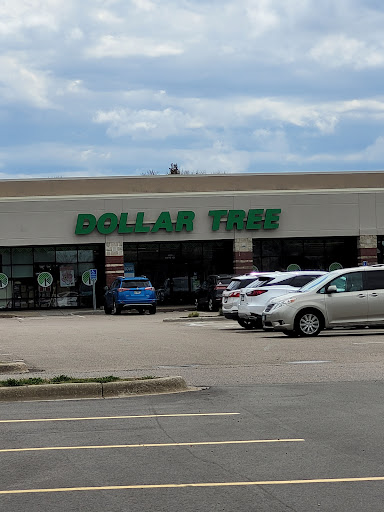 Dollar Store «Dollar Tree», reviews and photos, 3420 150th St W, Rosemount, MN 55068, USA