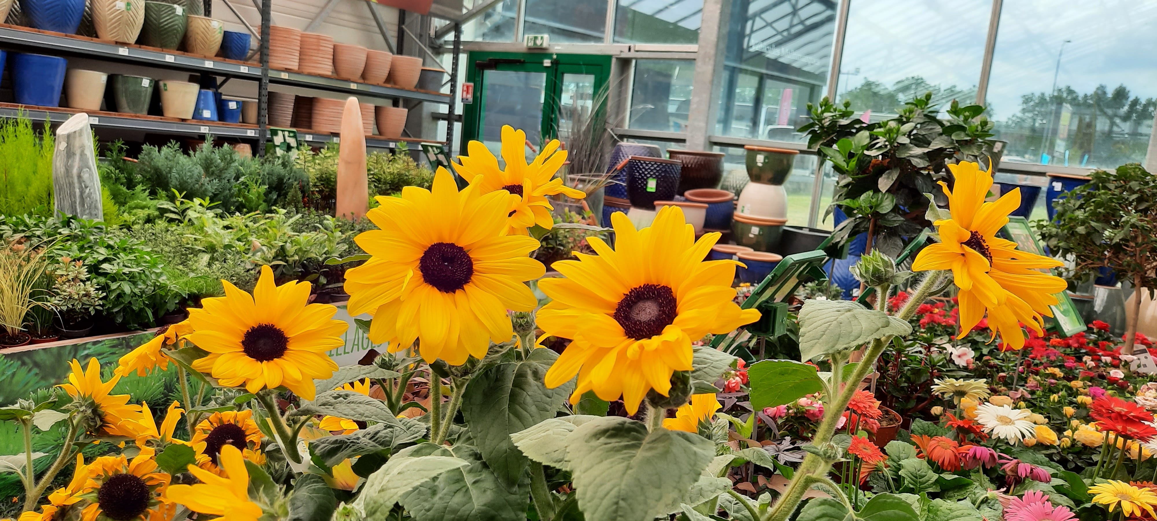 Photo n° 1 de l'avis de Florence.h fait le 10/08/2020 à 11:34