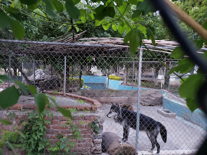 Parque Zoológico Antonio Zendejas