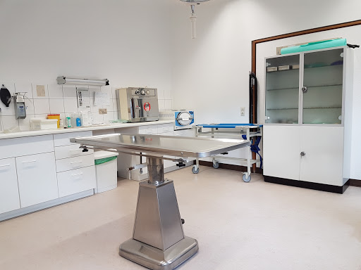 Dr. Jutta Iking unter Ingelfingen, 