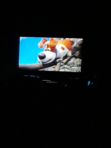 Drive-in Movie Theater «Cinema 67 Drive-in», reviews and photos, 2037 IN-67, Spencer, IN 47460, USA