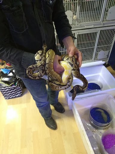 Pet Store «Off The Hook Exotics Pet Shop», reviews and photos, 926 5th Ave, Coraopolis, PA 15108, USA