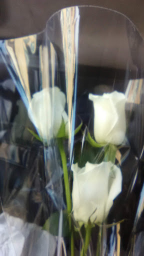 Florist «Petal Palace», reviews and photos, 15033 Nacogdoches Rd # 300, San Antonio, TX 78247, USA