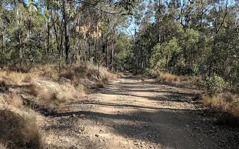 Nerang State Forest image
