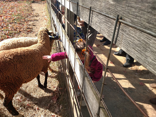 Farm «Clarks Elioak Farm LLC», reviews and photos, 10500 Clarksville Pike, Ellicott City, MD 21042, USA