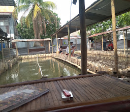 Ridho Fishing Ponds photo