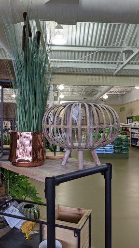 Garden Center «Pike Nurseries», reviews and photos, 615 W Crossville Rd, Roswell, GA 30075, USA