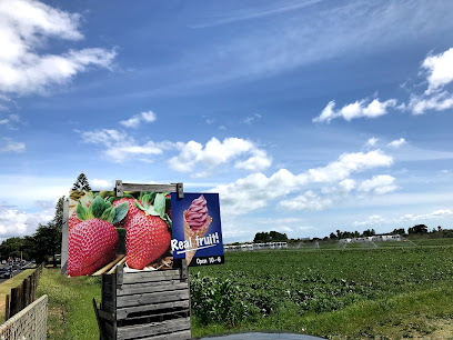 The Strawberry Farm