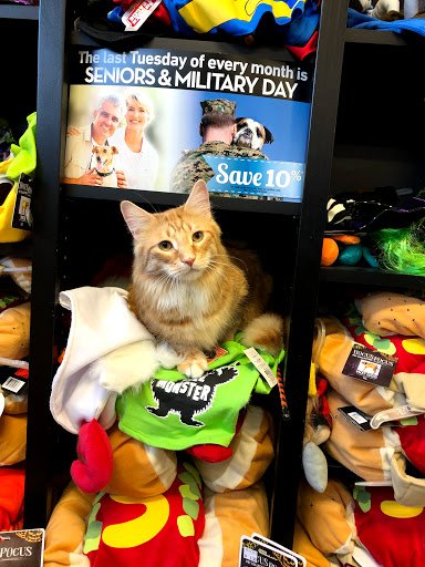 Pet Store «Pet Valu», reviews and photos, 2290 Central Park Ave, Yonkers, NY 10701, USA