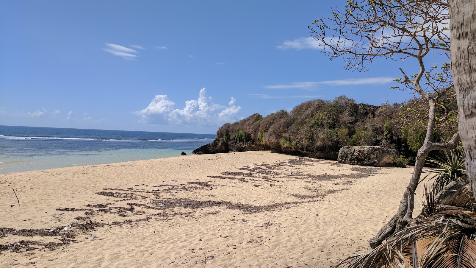 Photo de Takaungu Beach et ses beaux paysages