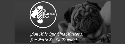 The Barber Dog