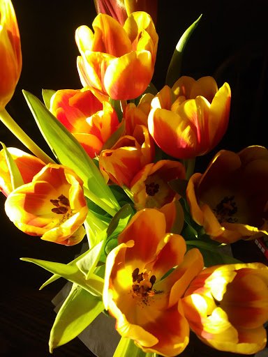 Supermarket «Nino Salvaggio International», reviews and photos, 17496 Hall Rd, Charter Twp of Clinton, MI 48038, USA