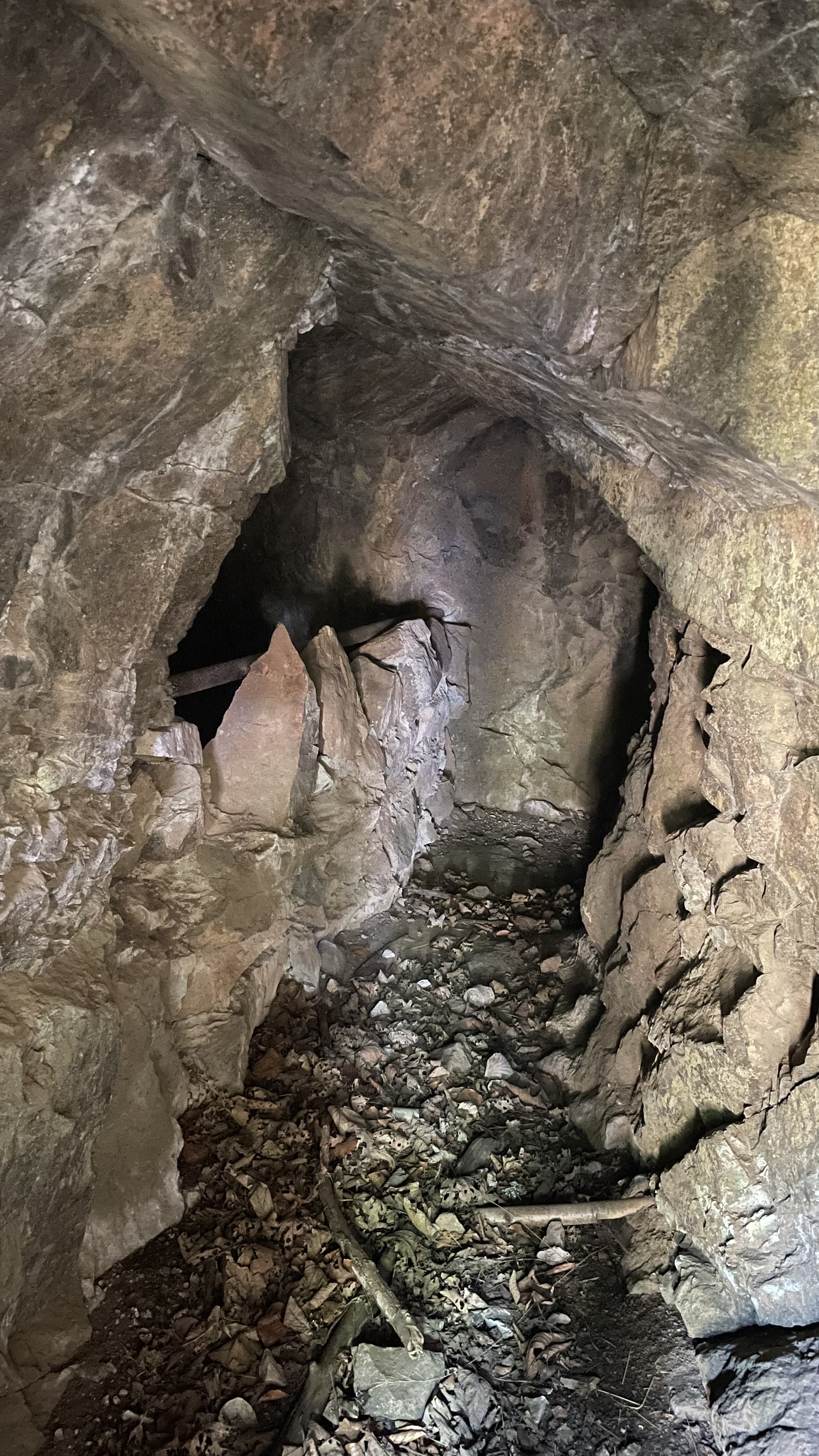 Photo n° 19 de l'avis de Wendelien.i fait le 24/07/2022 à 19:04