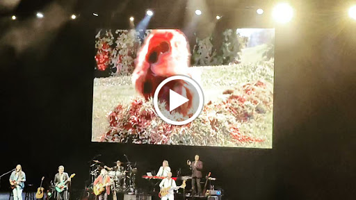 YouTube Theater image