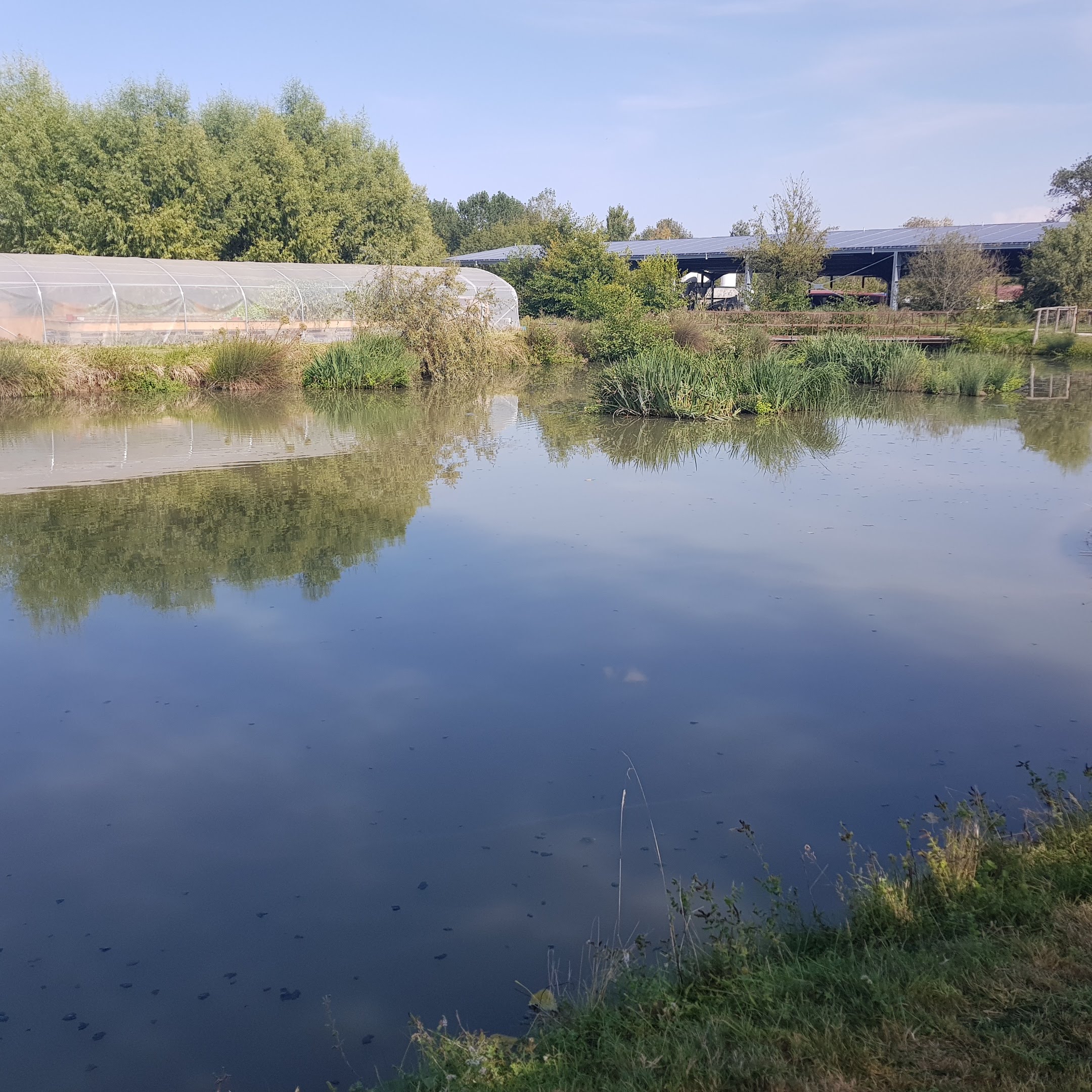 Photo n° 5 de l'avis de Plumier.l fait le 18/09/2020 à 16:10