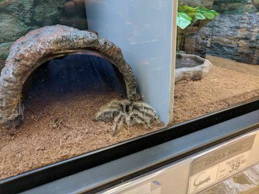 Pet Supply Store «Petco Animal Supplies», reviews and photos, 10315 E Shelby Dr, Collierville, TN 38017, USA