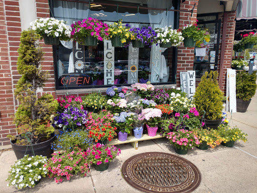 Florist «Lollipops & Roses Florist», reviews and photos, 450 Salem St, Medford, MA 02155, USA