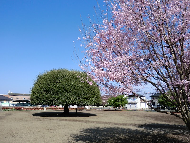 乙女公園