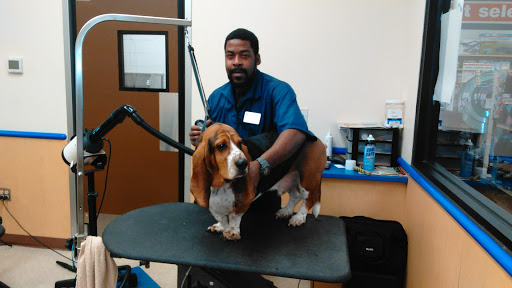 Pet Supply Store «Petsense Brandon», reviews and photos, 315 Crossgates Blvd b, Brandon, MS 39042, USA