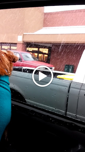 Grocery Store «Food Lion», reviews and photos, 558 W Main St, Stanley, VA 22851, USA