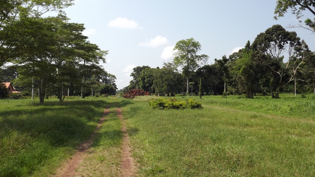 Mbandaka, Kongo Demokratik Cumhuriyeti