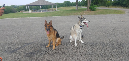 Pet Supply Store «Pet Supplies Plus», reviews and photos, 4100 Legacy Dr Suite 402, Plano, TX 75024, USA