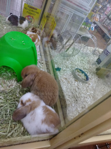 Pet Supply Store «Pet Supermarket», reviews and photos, 1746 E Silver Springs Blvd, Ocala, FL 34470, USA