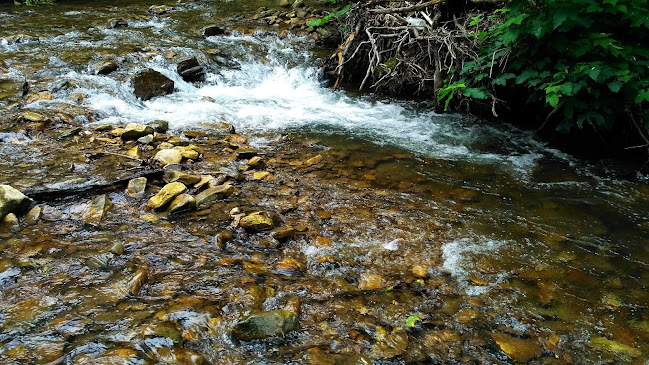 ЕКО СЕЛИЩЕ СИНИЯ ВИР