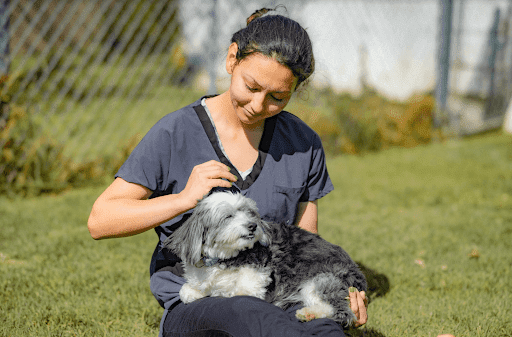 724 Utica Avenue, Huntington Beach, CA 92648, USA