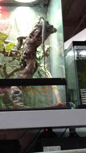 Pet Supply Store «Pet Club Santa Rosa», reviews and photos, 1935 Santa Rosa Ave, Santa Rosa, CA 95407, USA