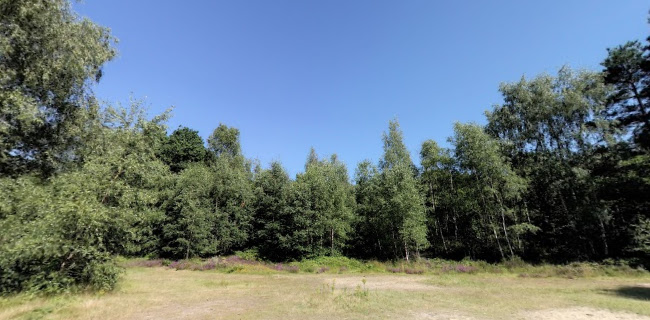 Comments and reviews of Horsell Common Preservation Society