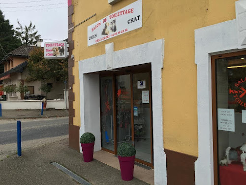 Salon de toilettage Chez Aurore à Saint-Denis-lès-Bourg