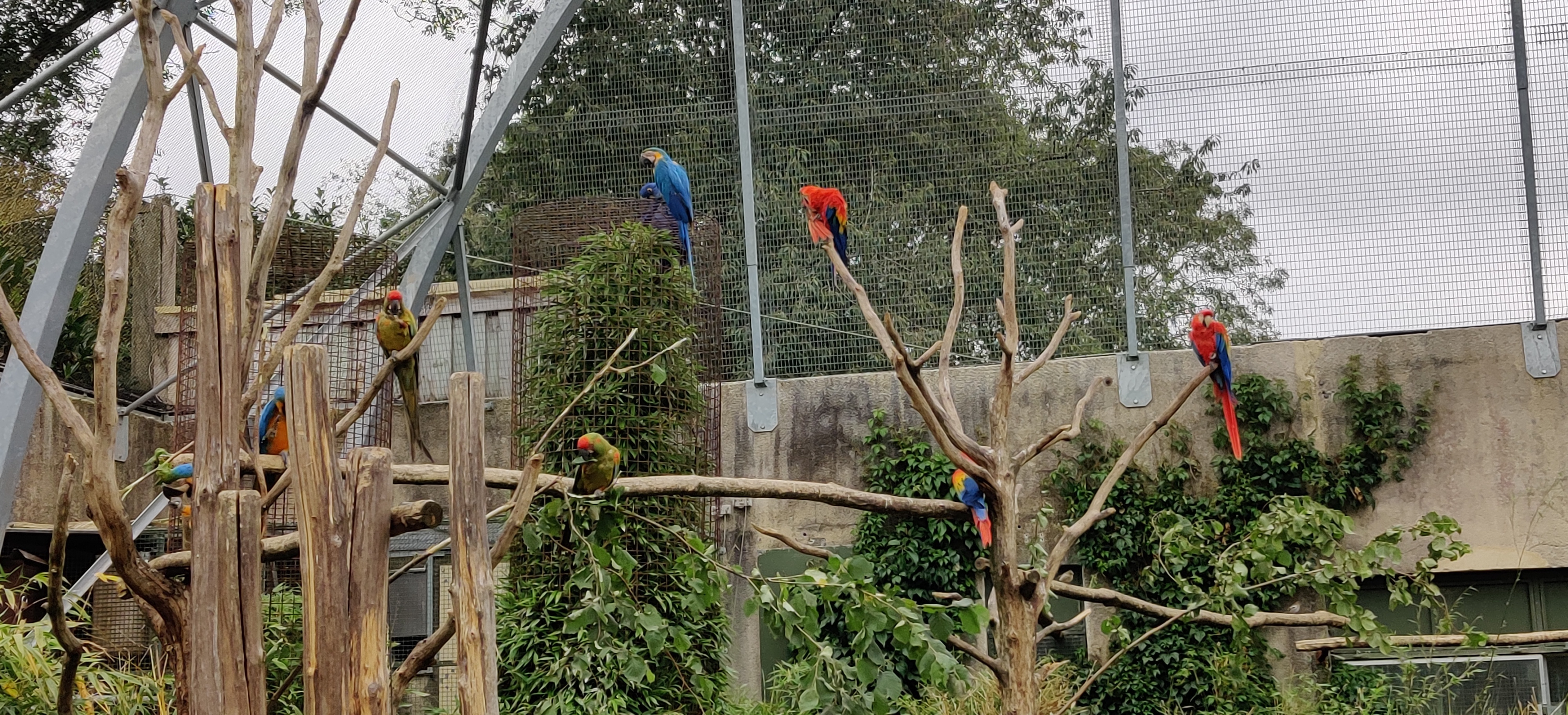 Photo n° 24 de l'avis de Maxime.o fait le 17/07/2019 à 19:11