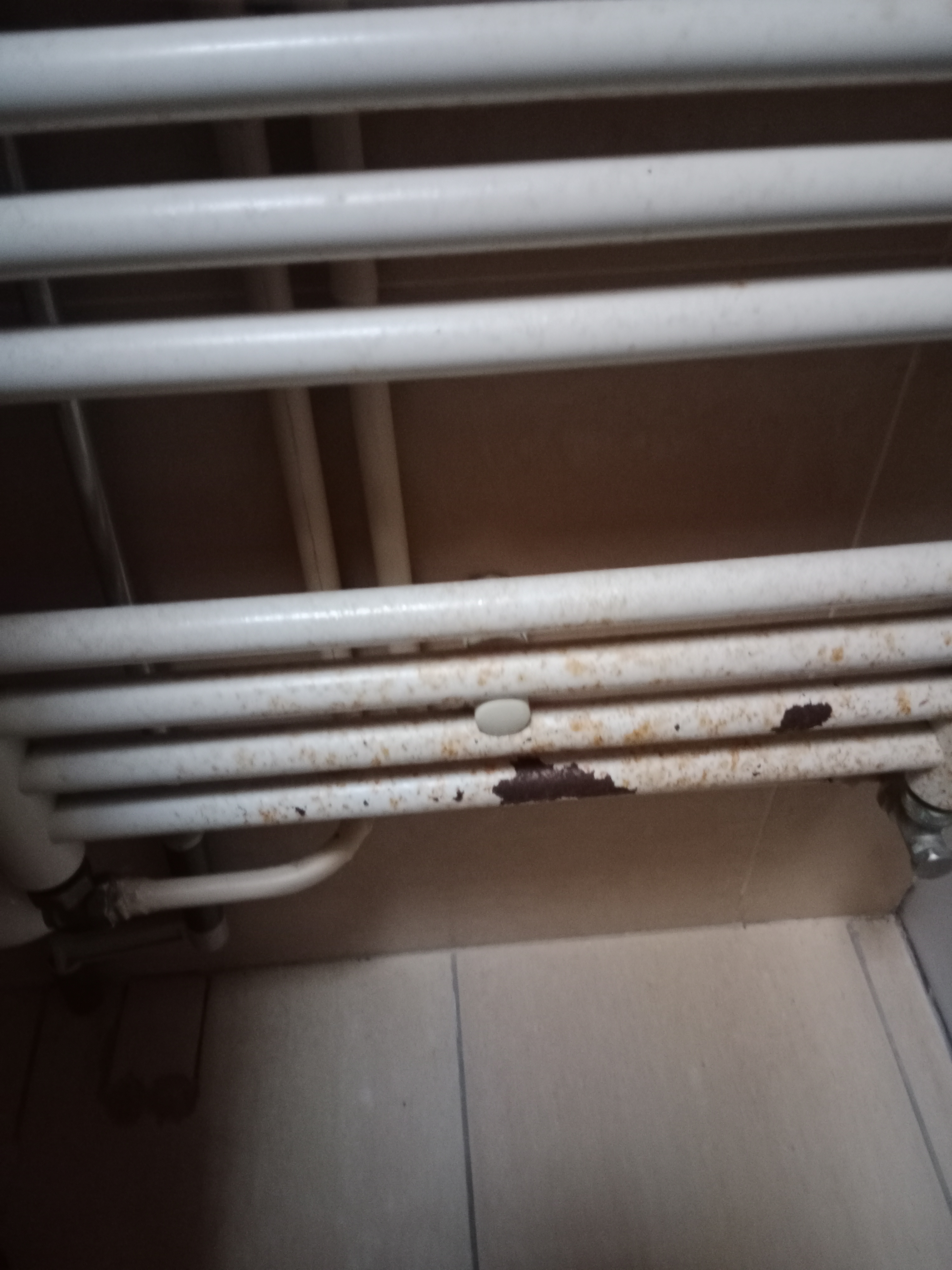 Photo n° 7 de l'avis de Florian.g fait le 19/01/2024 à 12:04