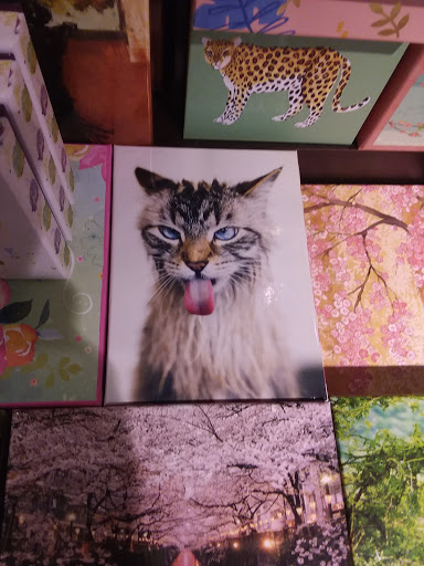 Greeting Card Shop «Papyrus», reviews and photos, 2502 E Camelback Rd, Phoenix, AZ 85016, USA