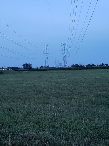 Stadium «Nissan Stadium», reviews and photos, 1 Titans Way, Nashville, TN 37213, USA