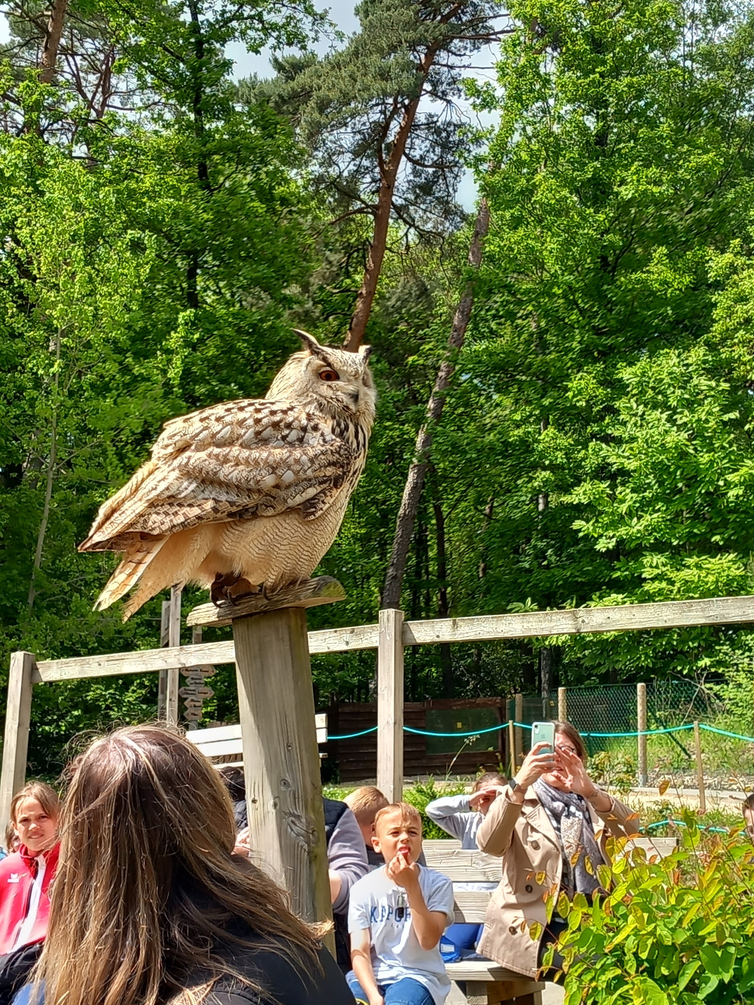 Photo n° 3 de l'avis de Melanie. fait le 16/05/2023 à 20:49