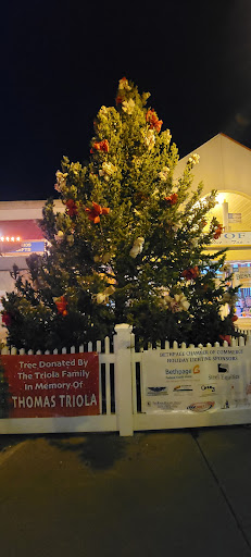 Oil Change Service «Advanced Auto NY», reviews and photos, 590 Hicksville Rd, Bethpage, NY 11714, USA