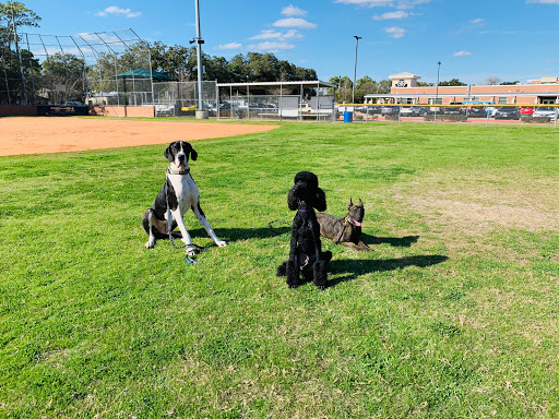 Puptown Houston Dog Training