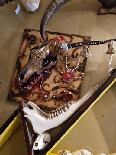 Explore dog tag tattoo ideas, creative tattoo ideas in Muncie, available at Obscura Tattoo shop and Oddity Collective