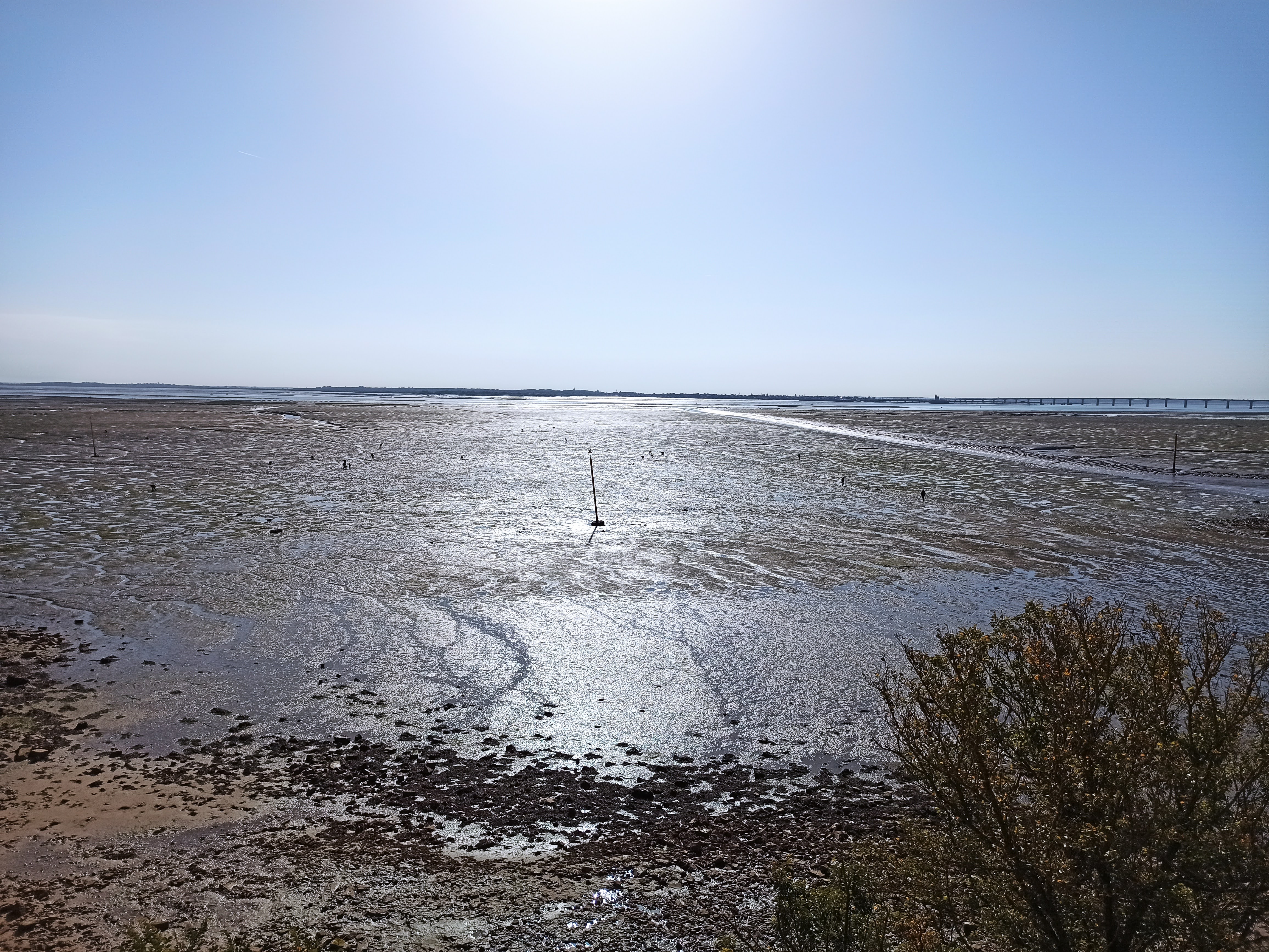 Photo n° 6 de l'avis de King.t fait le 10/10/2022 à 09:09
