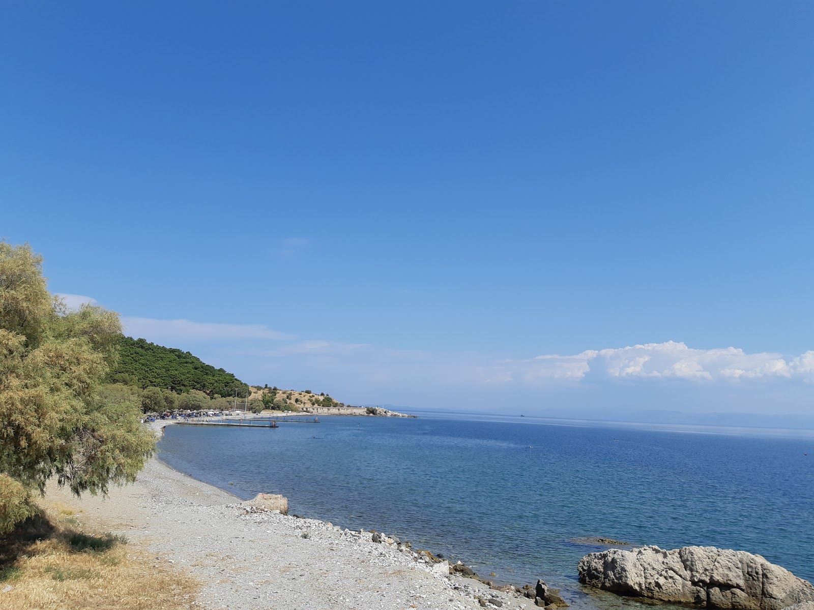 Tsamakia beach的照片 带有蓝色纯水表面