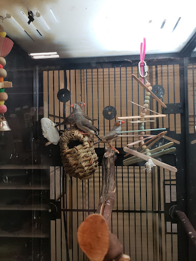 Pet Supply Store «PetSmart», reviews and photos, 400 Mill Creek Dr, Secaucus, NJ 07094, USA