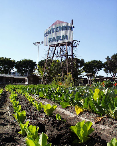 Childrens farm Costa Mesa