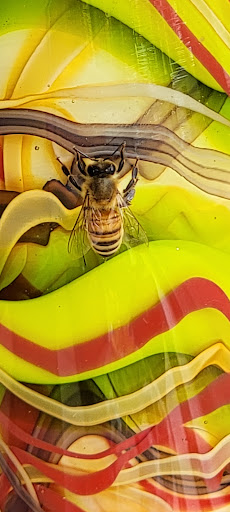 Art Gallery «Art By Fire - Glass Blowing Classes», reviews and photos, 195 Front St N, Issaquah, WA 98027, USA