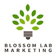 Blossom Lab - Digital Marketing Agency