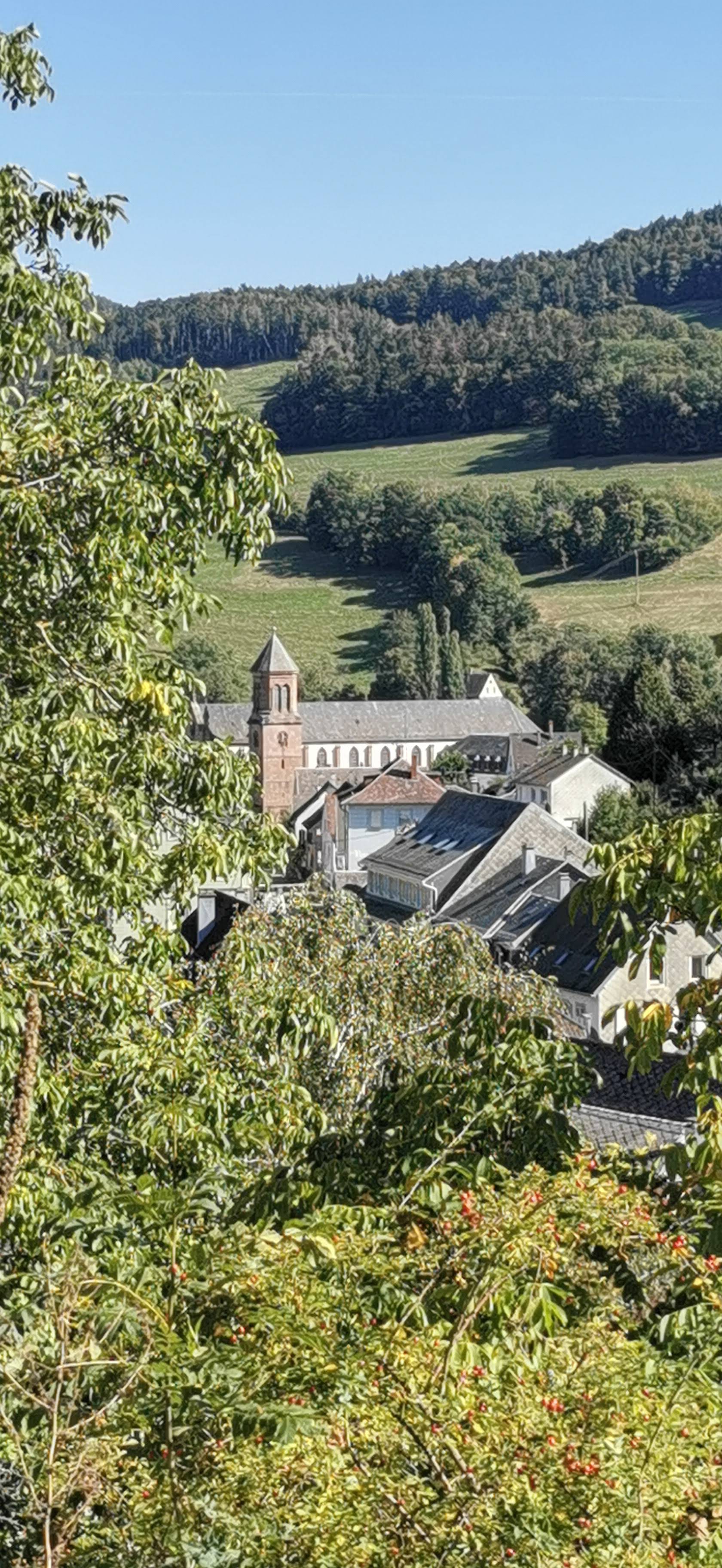 Photo n° 2 de l'avis de Martial.. fait le 02/10/2023 à 15:42