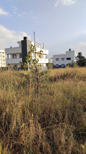 Google Maps image 10